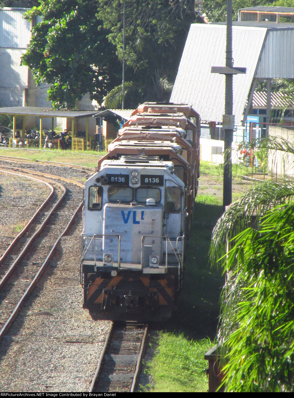 VLI 8136